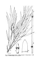  no thumbnail available