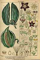  no thumbnail available