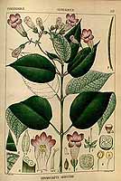  no thumbnail available