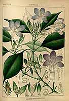  no thumbnail available