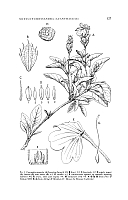  no thumbnail available