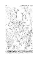  no thumbnail available