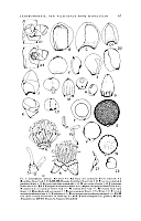  no thumbnail available