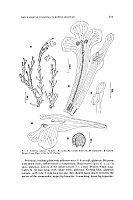  no thumbnail available