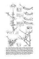  no thumbnail available