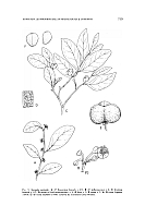  no thumbnail available