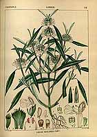  no thumbnail available