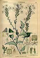  no thumbnail available