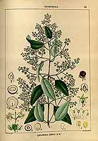  no thumbnail available