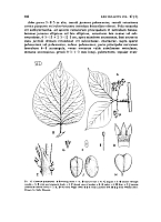  no thumbnail available