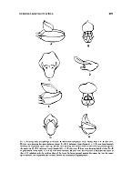  no thumbnail available