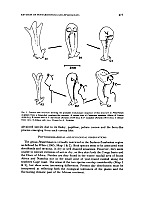  no thumbnail available