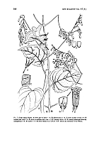  no thumbnail available