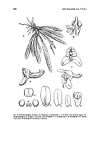  no thumbnail available