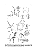  no thumbnail available