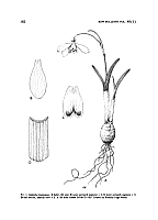  no thumbnail available