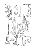  no thumbnail available