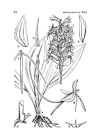  no thumbnail available