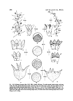  no thumbnail available