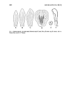  no thumbnail available