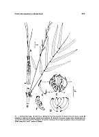  no thumbnail available