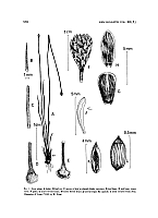  no thumbnail available