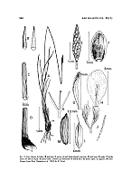  no thumbnail available