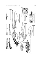  no thumbnail available