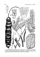  no thumbnail available