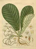  no thumbnail available