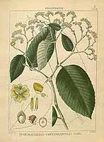  no thumbnail available