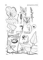  no thumbnail available