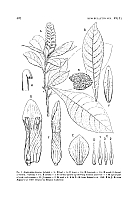  no thumbnail available