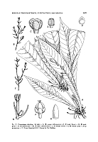  no thumbnail available