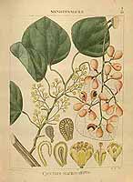  no thumbnail available