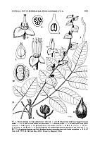  no thumbnail available