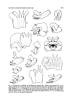  no thumbnail available