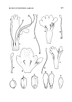  no thumbnail available