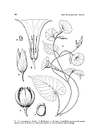 no HD illustration available (5) 