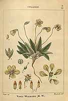  no thumbnail available