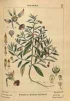  no thumbnail available