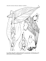  no thumbnail available