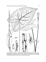  no thumbnail available