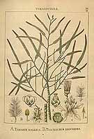  no thumbnail available