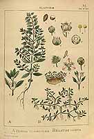  no thumbnail available