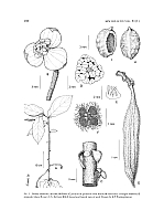  no thumbnail available