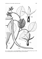  no thumbnail available