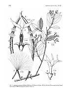  no thumbnail available