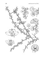  no thumbnail available