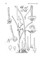  no thumbnail available